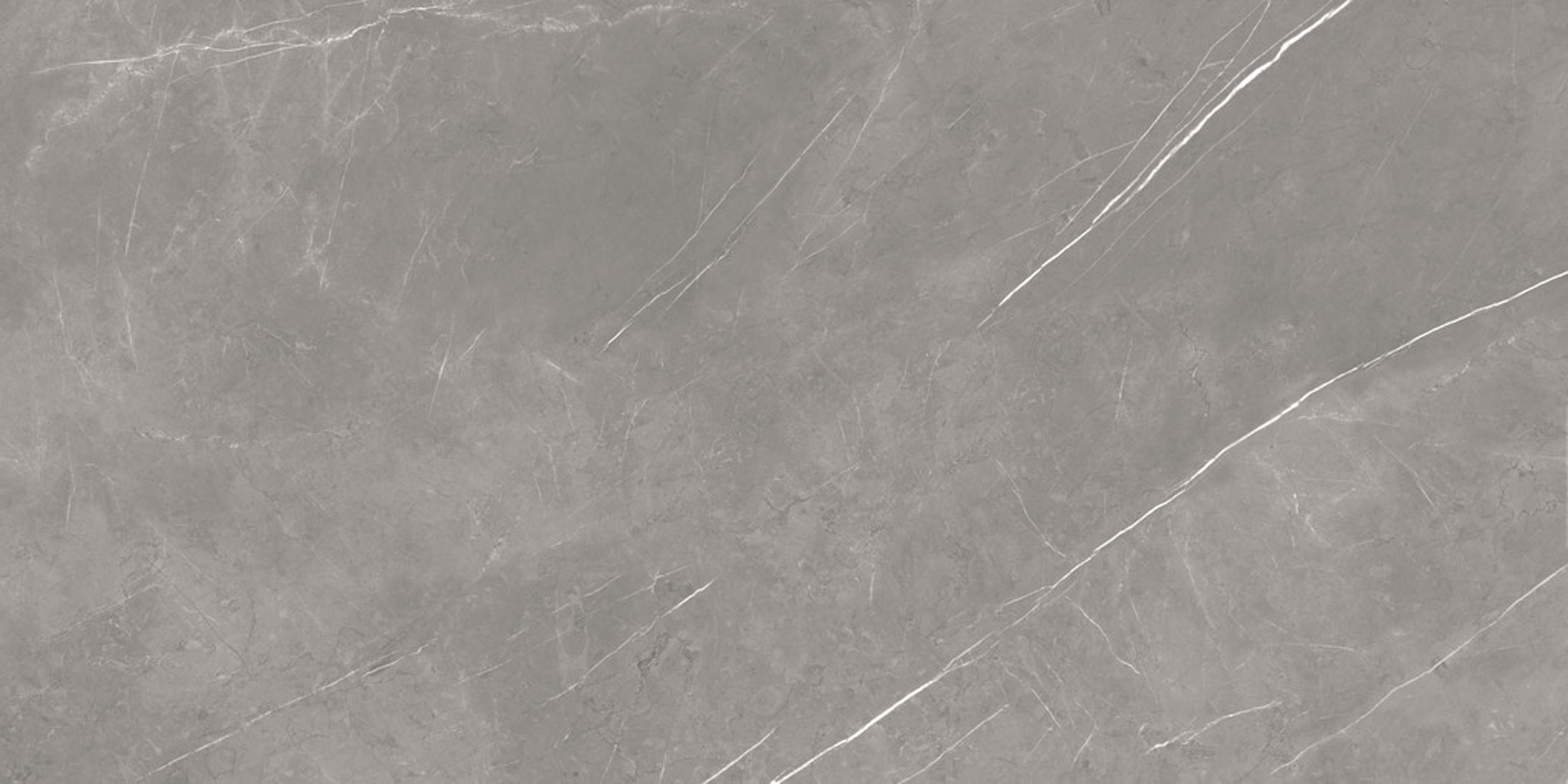 Atlas Concorde F.d.M. Elegant Gray 80x160 чёрный матовый купите по цене 5859 руб/м²
