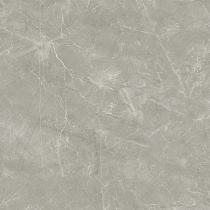 Wolf Grey 80х80 Сатин.