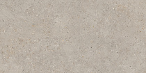 Риккарди бежевый мат. 60x119,5