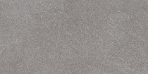 Роверелла пепельный 60x119,5