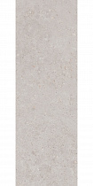 Риккарди серый св. мат. 40x120