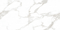 Statuario Perfect Silver 60х120 полированный