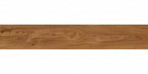 Forest Amber 19,4х120