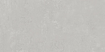 Про Фьюче серый св. 60x119,5