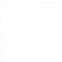 Monocolor white RAL9016 PG 01